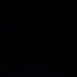 Meet your Posher, Darwin